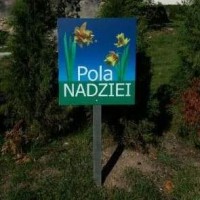 pola nadzie
